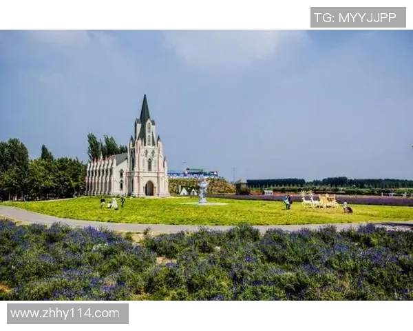 冰岛足球明星崛起之路：从小岛到国际赛场的辉煌征程